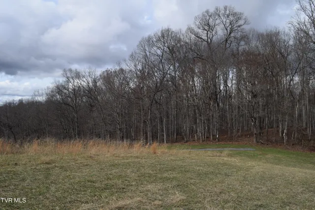 $274,000 | 27.33-ac Big Springs Road, Eidson, TN 37731