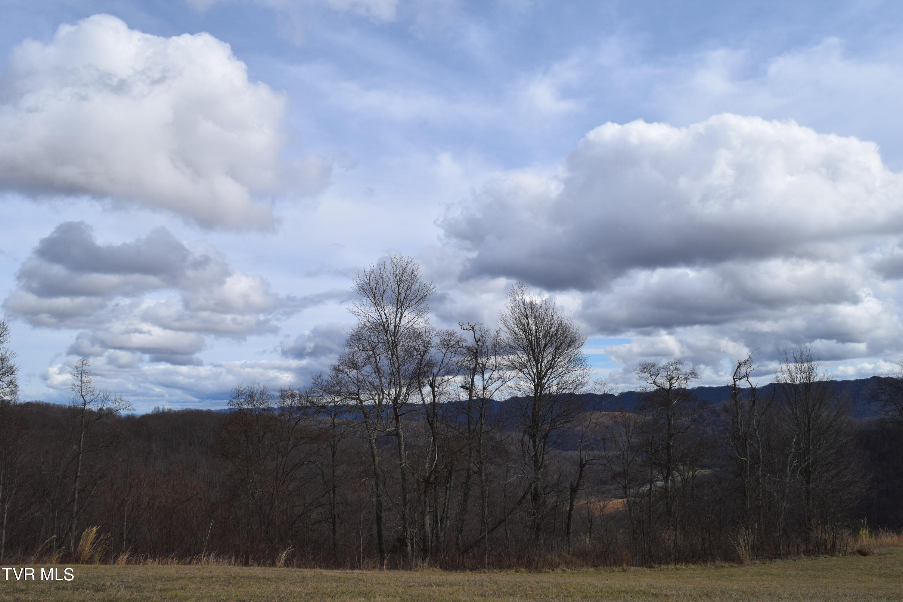 27.33-ac Big Springs Road Eidson, TN 37731 - Photo 26 of 57 DSC_0240