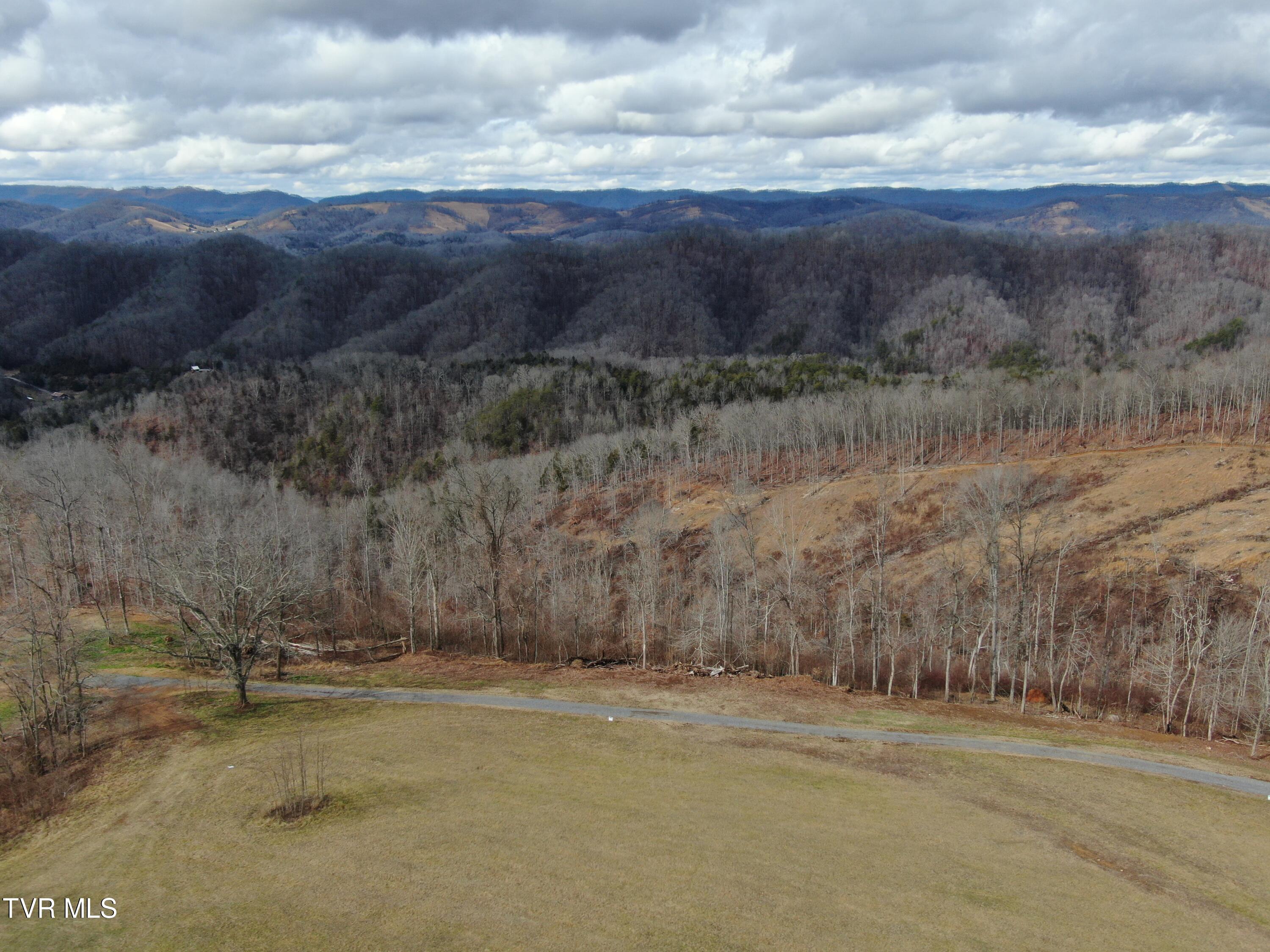 27.33-ac Big Springs Road Eidson, TN 37731 - Photo 29 of 57 DJI_0316