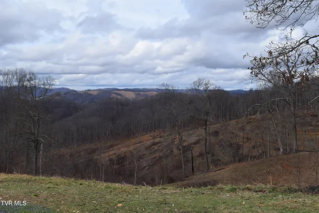 $274,000 | 27.33-ac Big Springs Road, Eidson, TN 37731