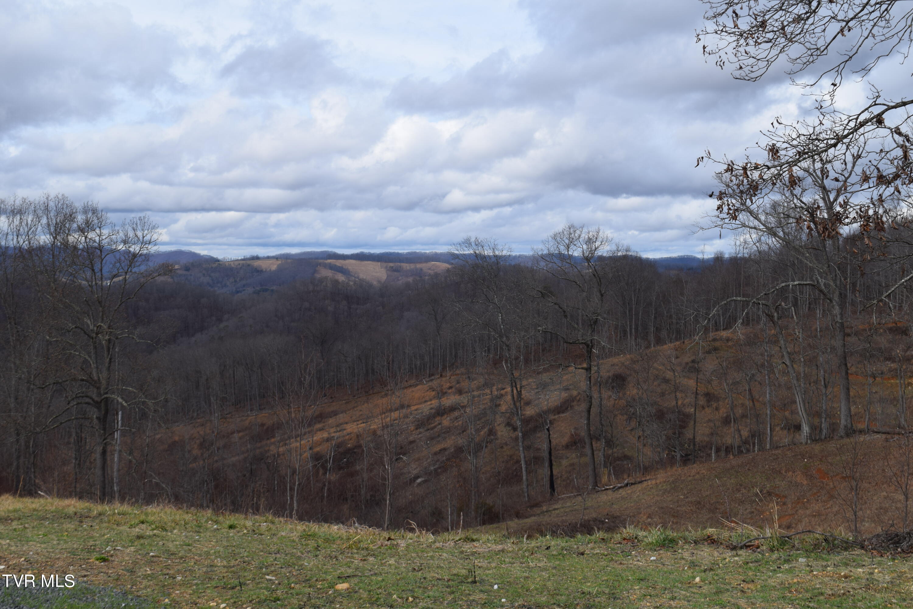 27.33-ac Big Springs Road Eidson, TN 37731 - Photo 3 of 57 DSC_0221