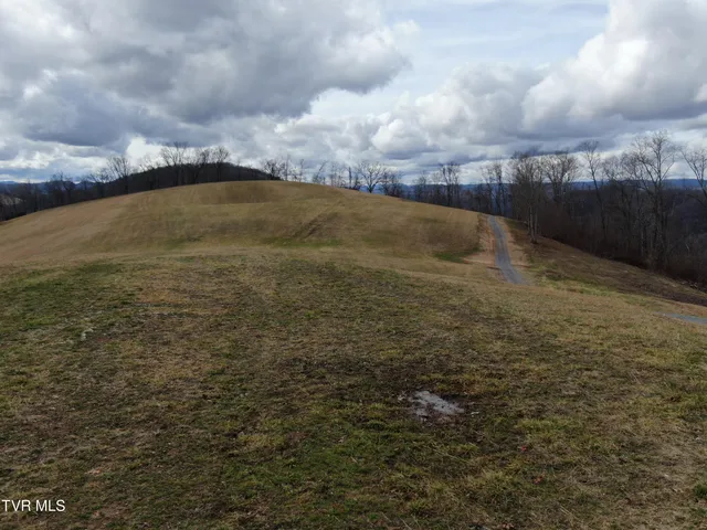 $274,000 | 27.33-ac Big Springs Road, Eidson, TN 37731