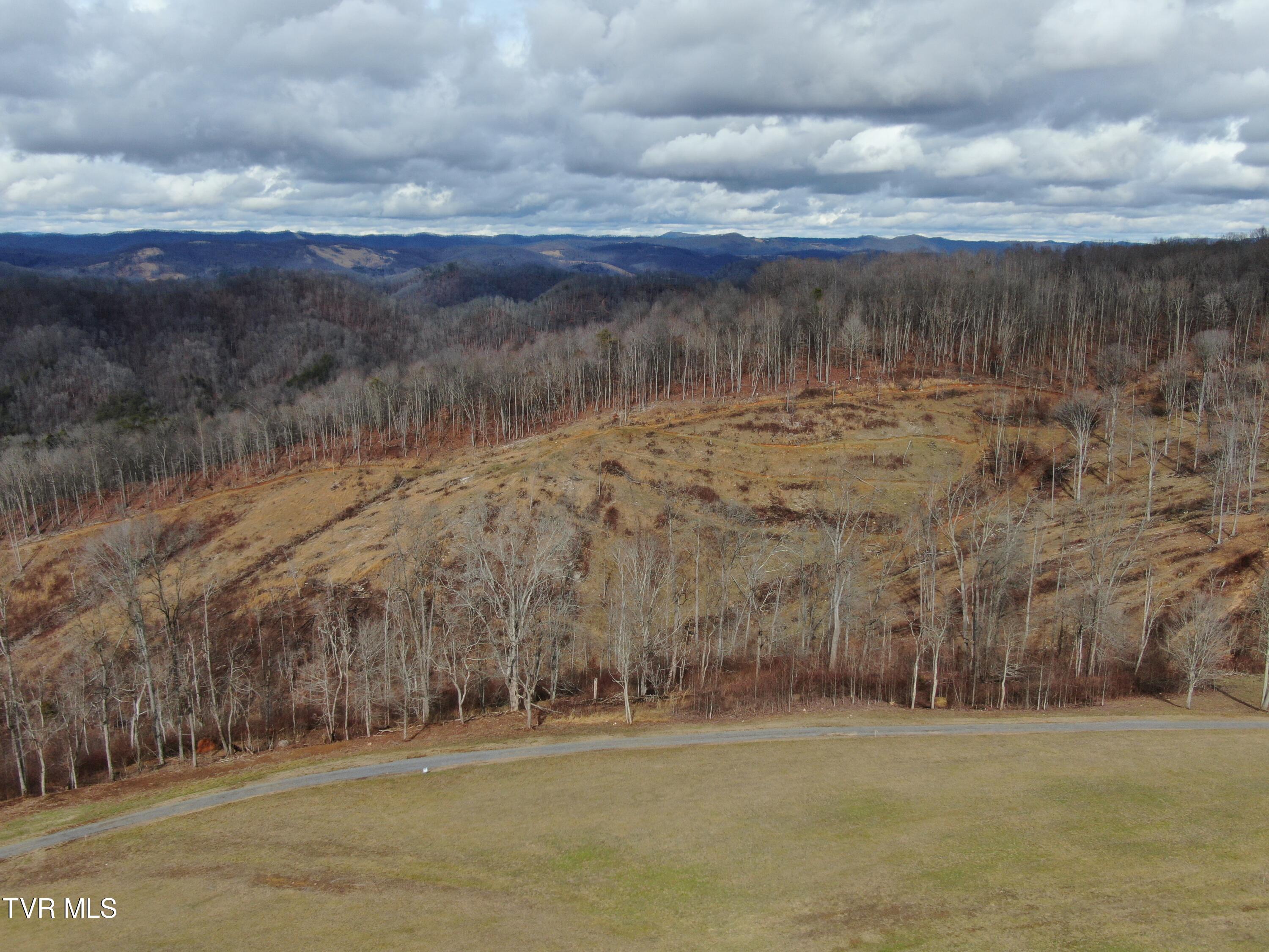 27.33-ac Big Springs Road Eidson, TN 37731 - Photo 43 of 57 DJI_0317