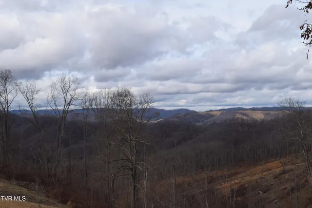 $274,000 | 27.33-ac Big Springs Road, Eidson, TN 37731