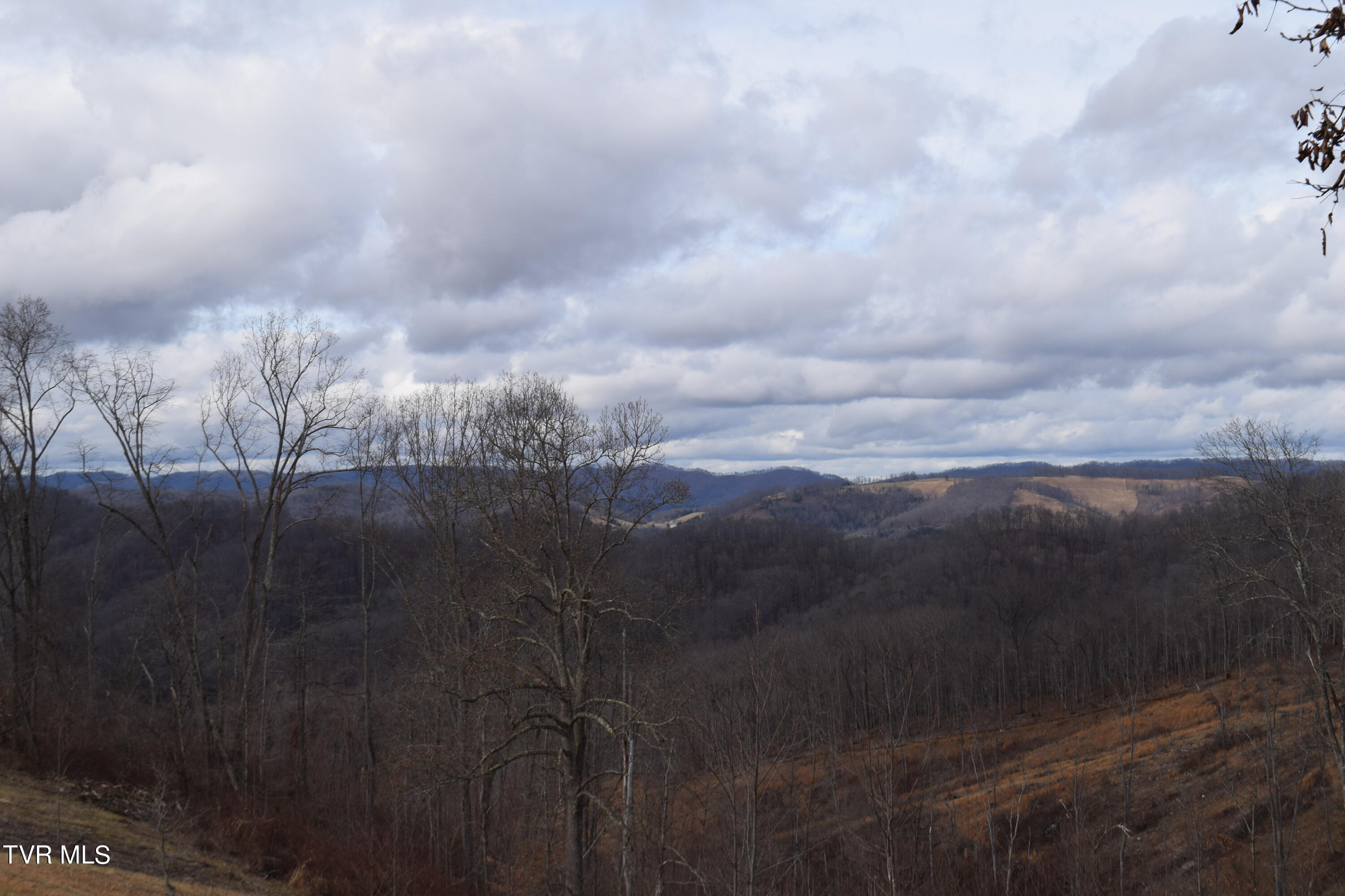 27.33-ac Big Springs Road Eidson, TN 37731 - Photo 7 of 57 DSC_0225