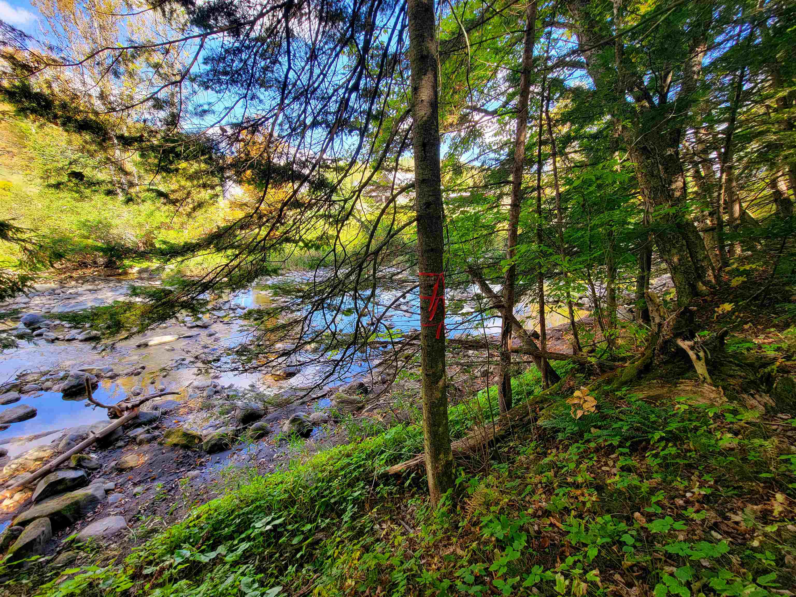 6 Meadowbrook Lane Chelsea, VT 05038 - Photo 16 of 55