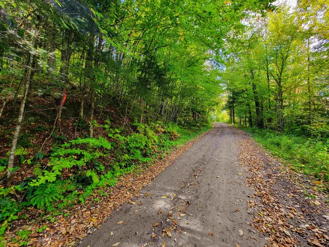 $55,000 | 6 Meadowbrook Lane, Chelsea, VT 05038