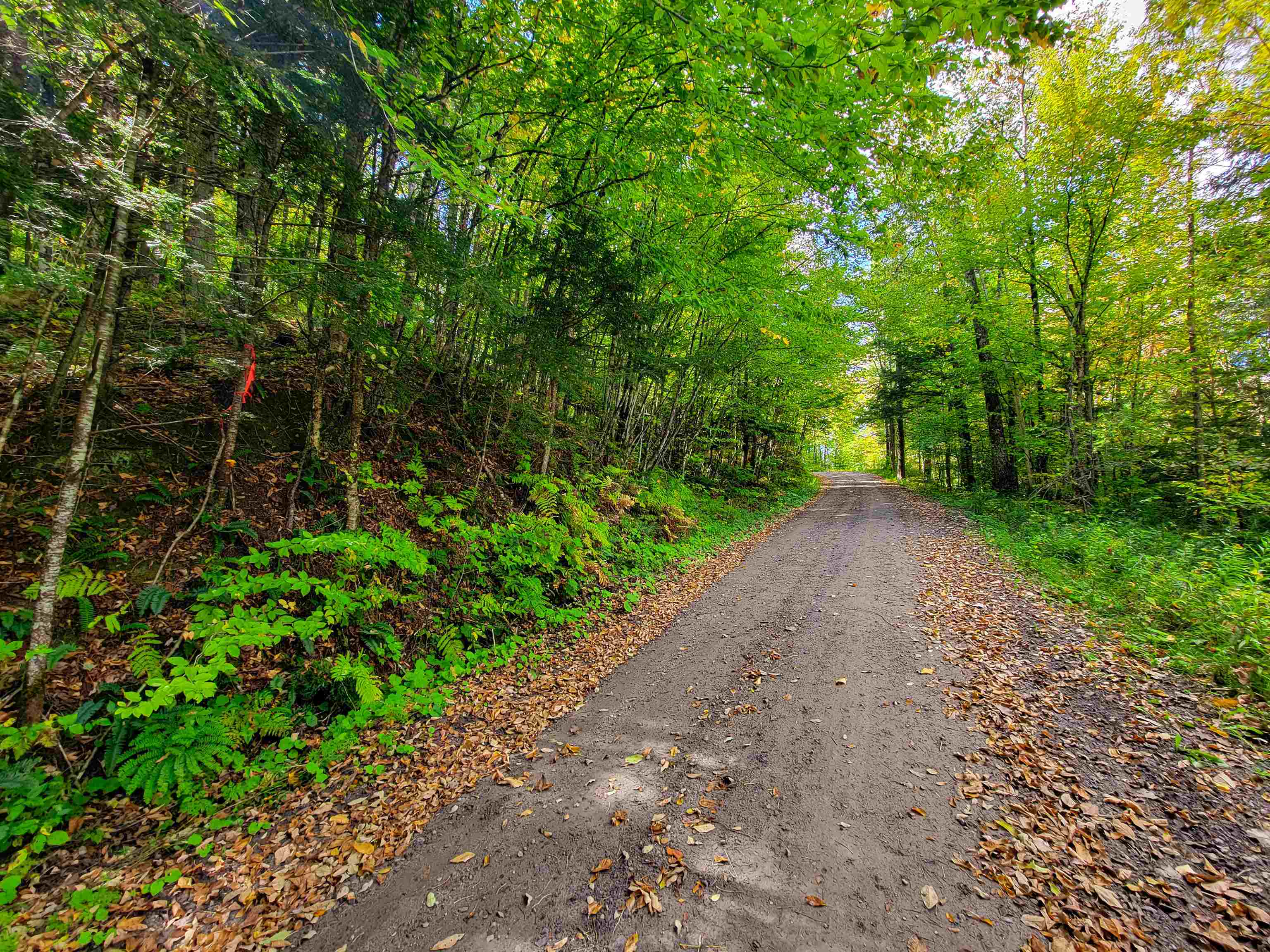 6 Meadowbrook Lane Chelsea, VT 05038 - Photo 22 of 55