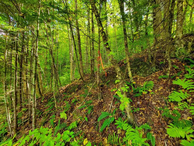 $55,000 | 6 Meadowbrook Lane, Chelsea, VT 05038