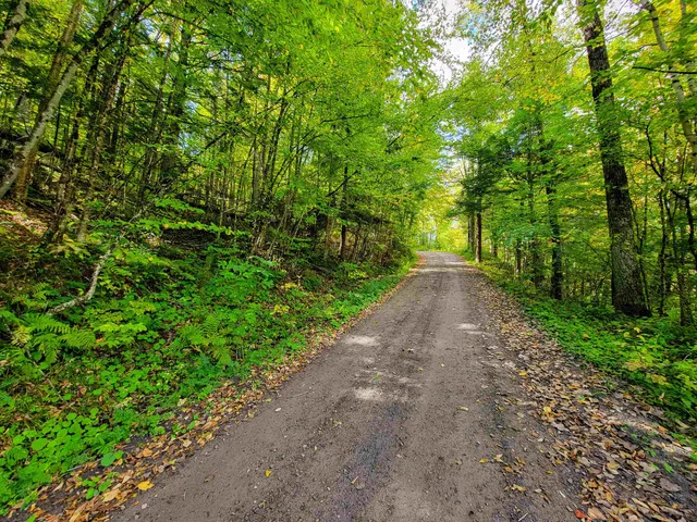 $55,000 | 6 Meadowbrook Lane, Chelsea, VT 05038