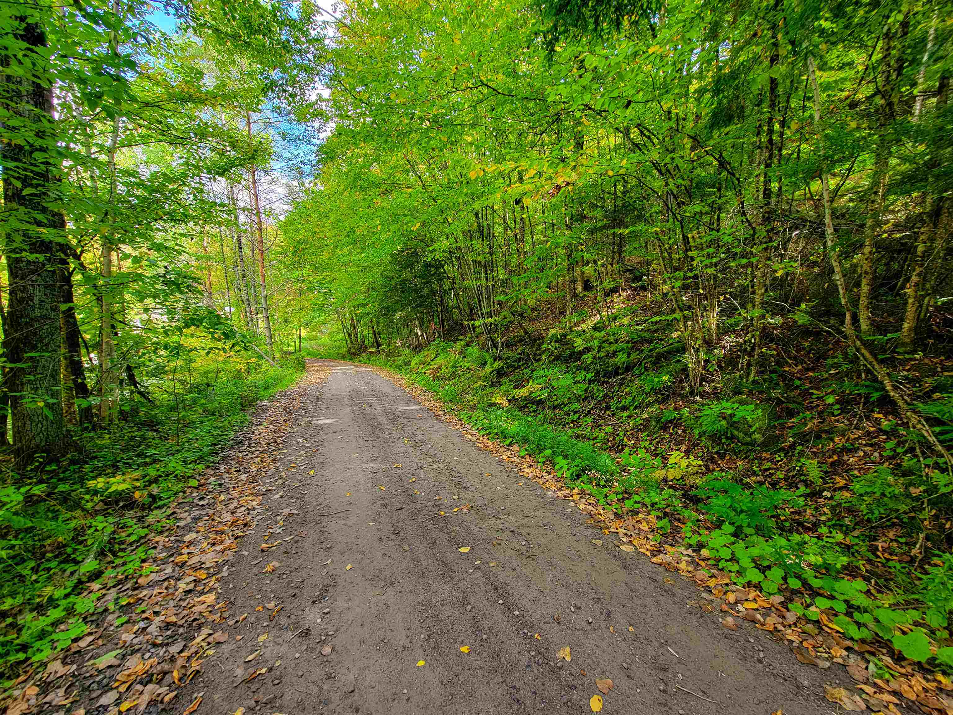 6 Meadowbrook Lane Chelsea, VT 05038 - Photo 25 of 55