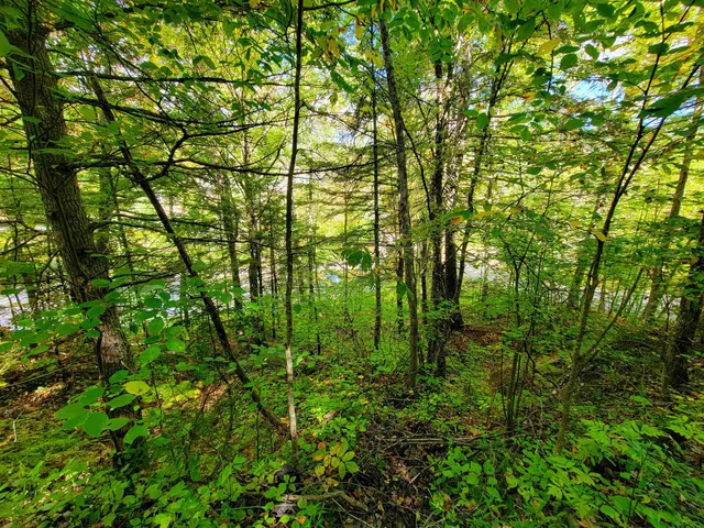 $55,000 | 6 Meadowbrook Lane, Chelsea, VT 05038