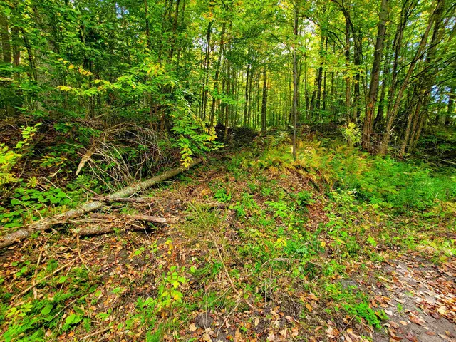 $55,000 | 6 Meadowbrook Lane, Chelsea, VT 05038