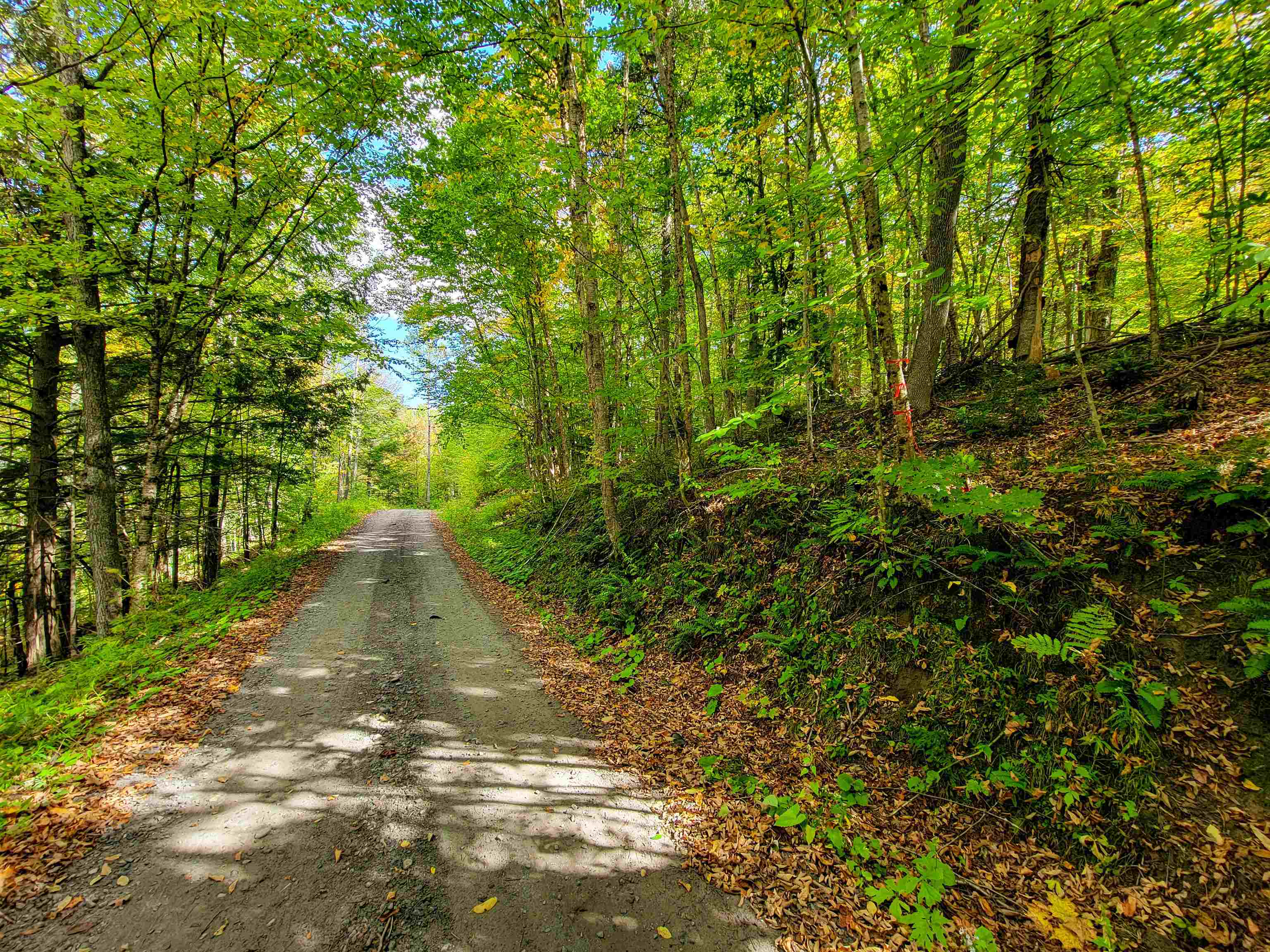6 Meadowbrook Lane Chelsea, VT 05038 - Photo 29 of 55