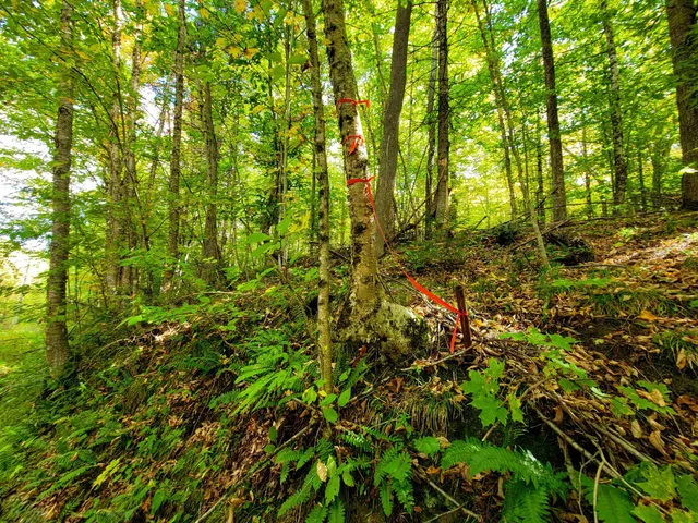 $55,000 | 6 Meadowbrook Lane, Chelsea, VT 05038