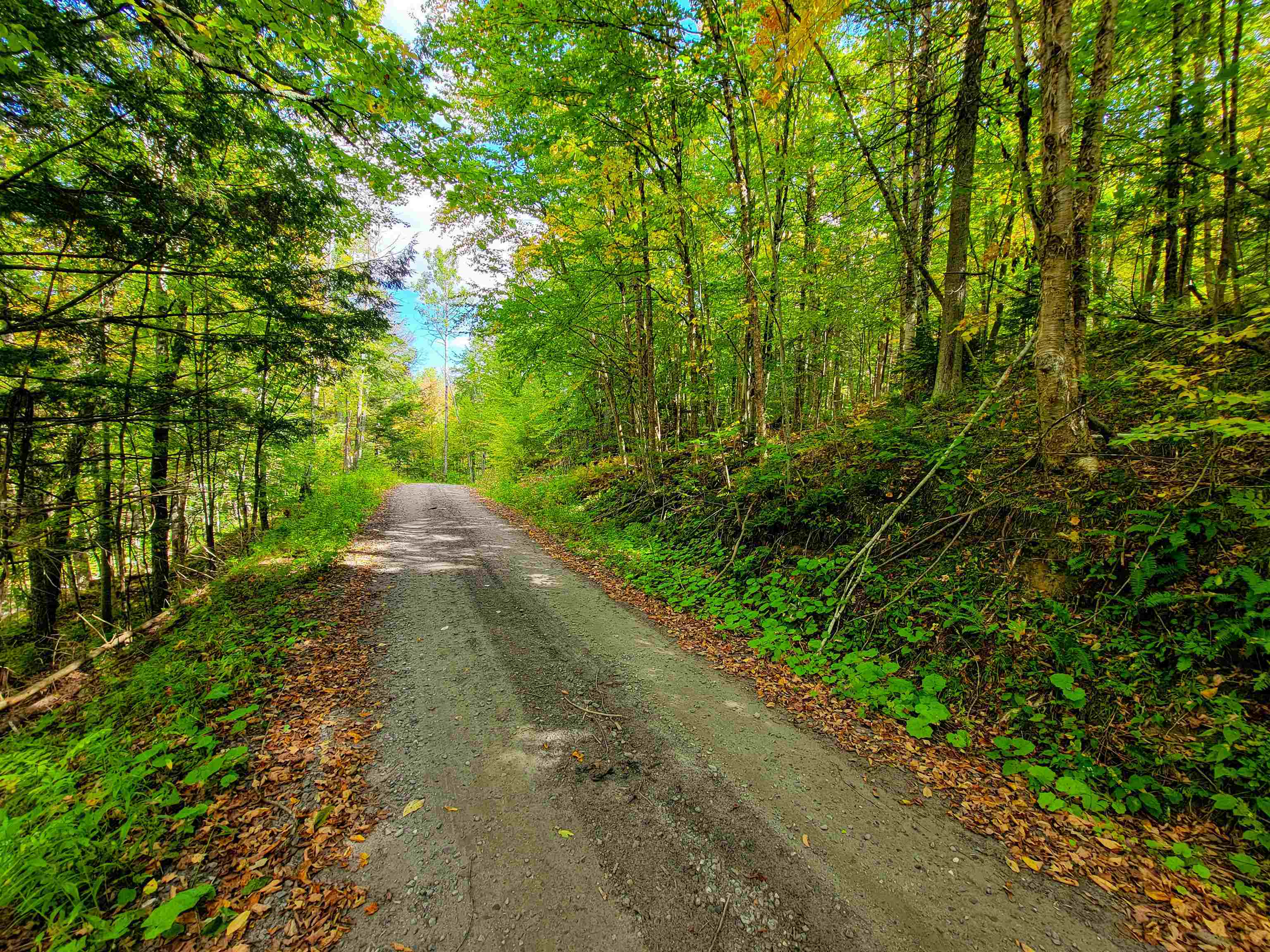 6 Meadowbrook Lane Chelsea, VT 05038 - Photo 32 of 55