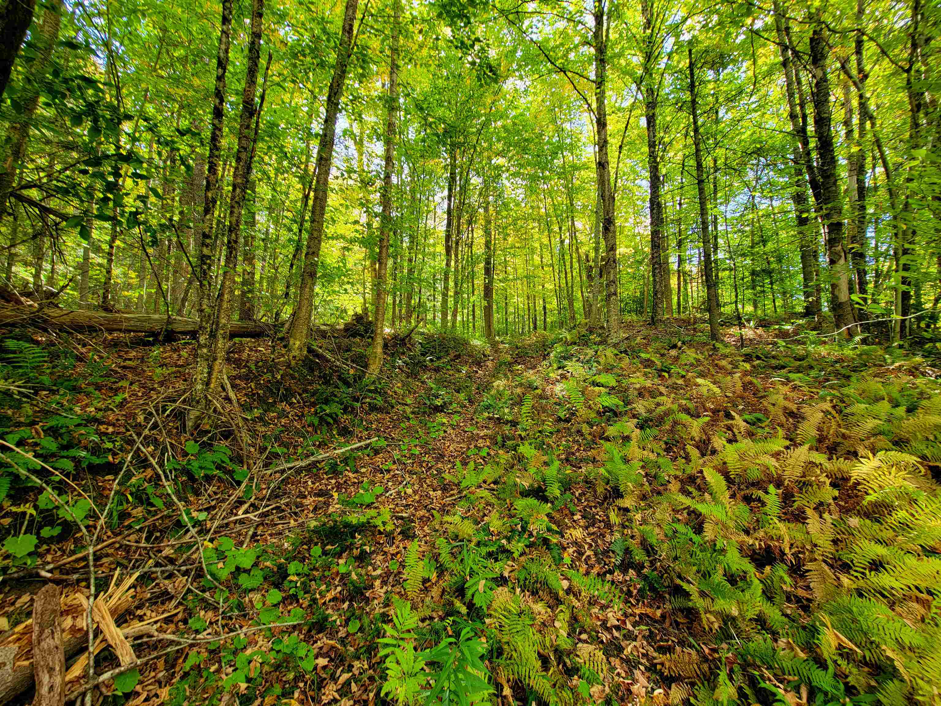 6 Meadowbrook Lane Chelsea, VT 05038 - Photo 33 of 55