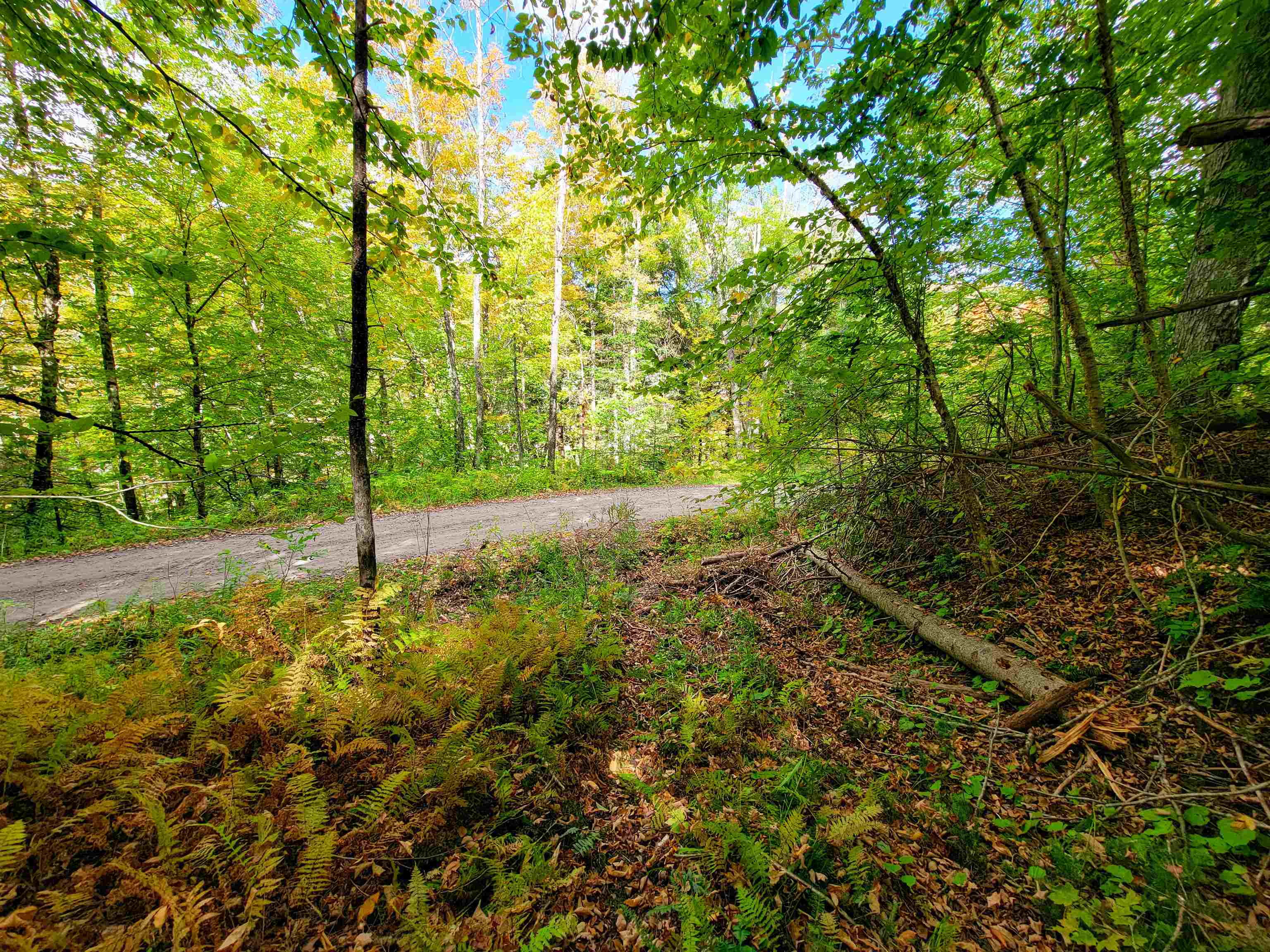 6 Meadowbrook Lane Chelsea, VT 05038 - Photo 34 of 55