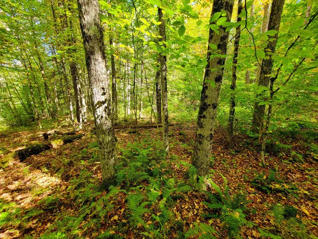 $55,000 | 6 Meadowbrook Lane, Chelsea, VT 05038