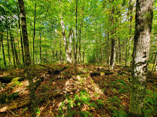 $55,000 | 6 Meadowbrook Lane, Chelsea, VT 05038