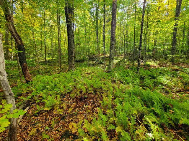 $55,000 | 6 Meadowbrook Lane, Chelsea, VT 05038