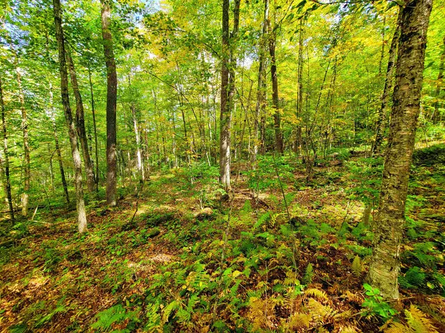 $55,000 | 6 Meadowbrook Lane, Chelsea, VT 05038