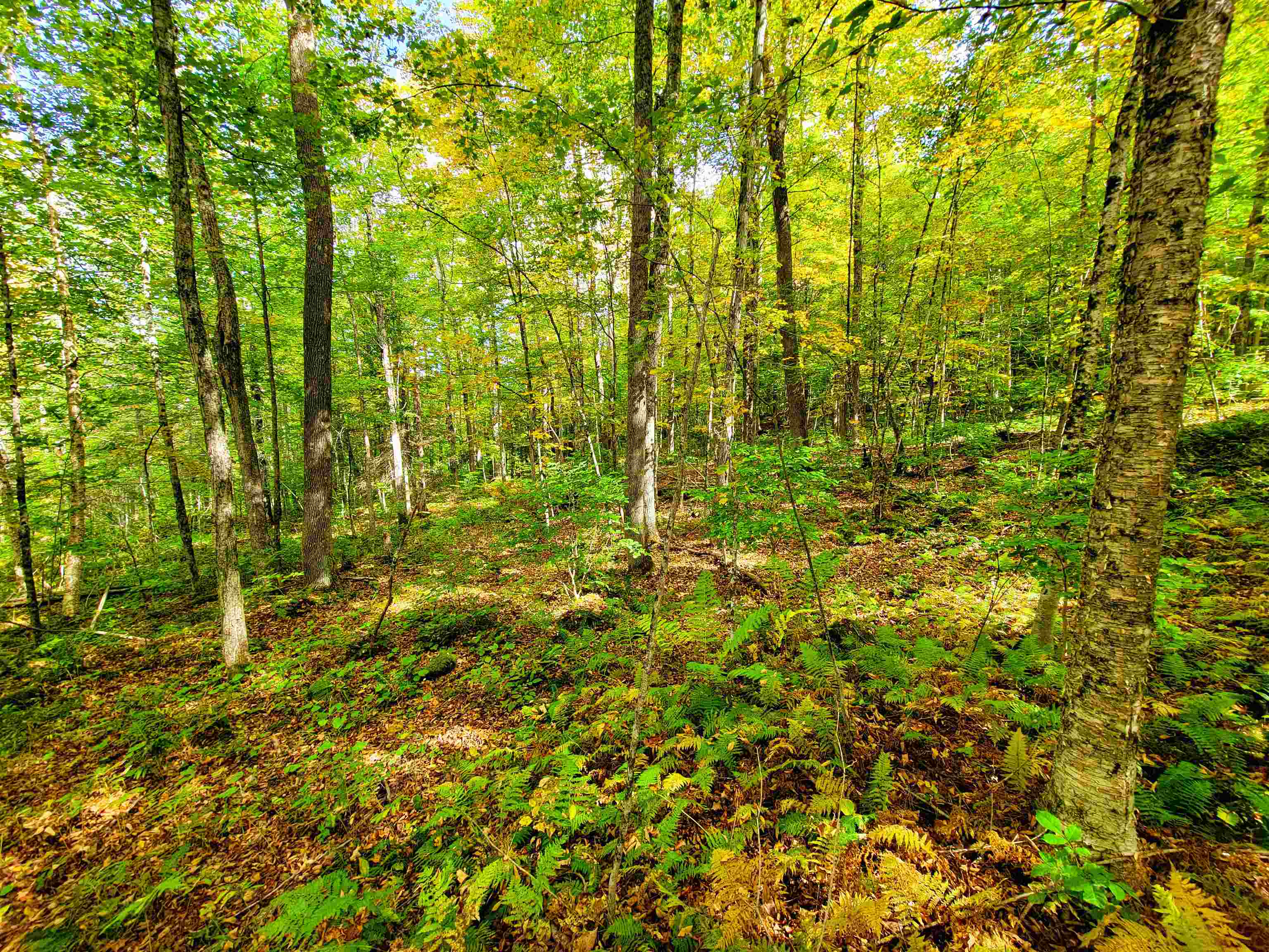 6 Meadowbrook Lane Chelsea, VT 05038 - Photo 40 of 55