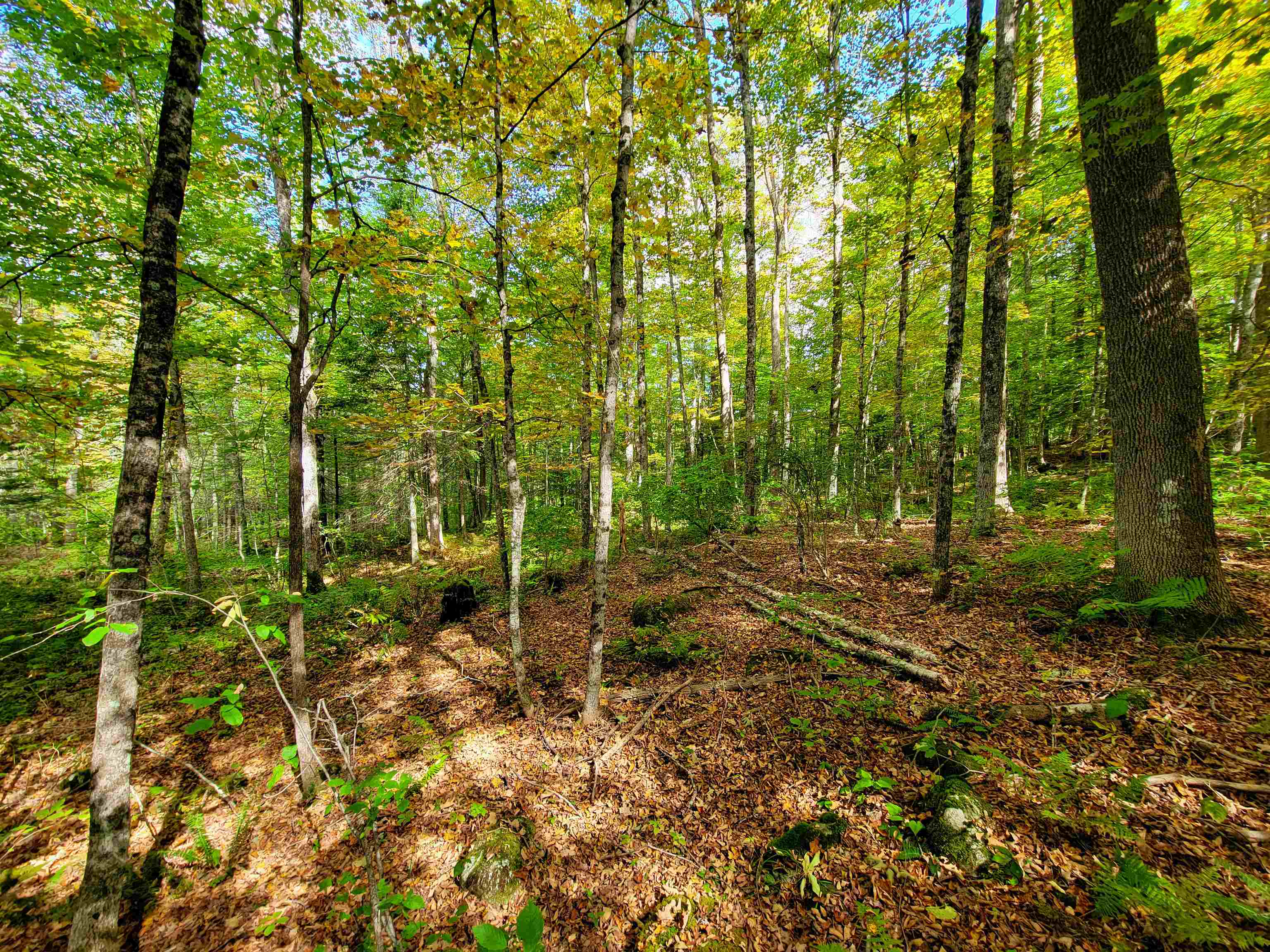 6 Meadowbrook Lane Chelsea, VT 05038 - Photo 41 of 55