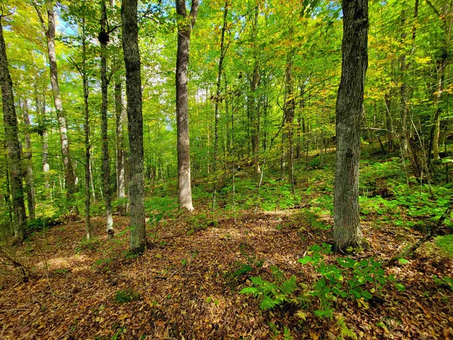 $55,000 | 6 Meadowbrook Lane, Chelsea, VT 05038