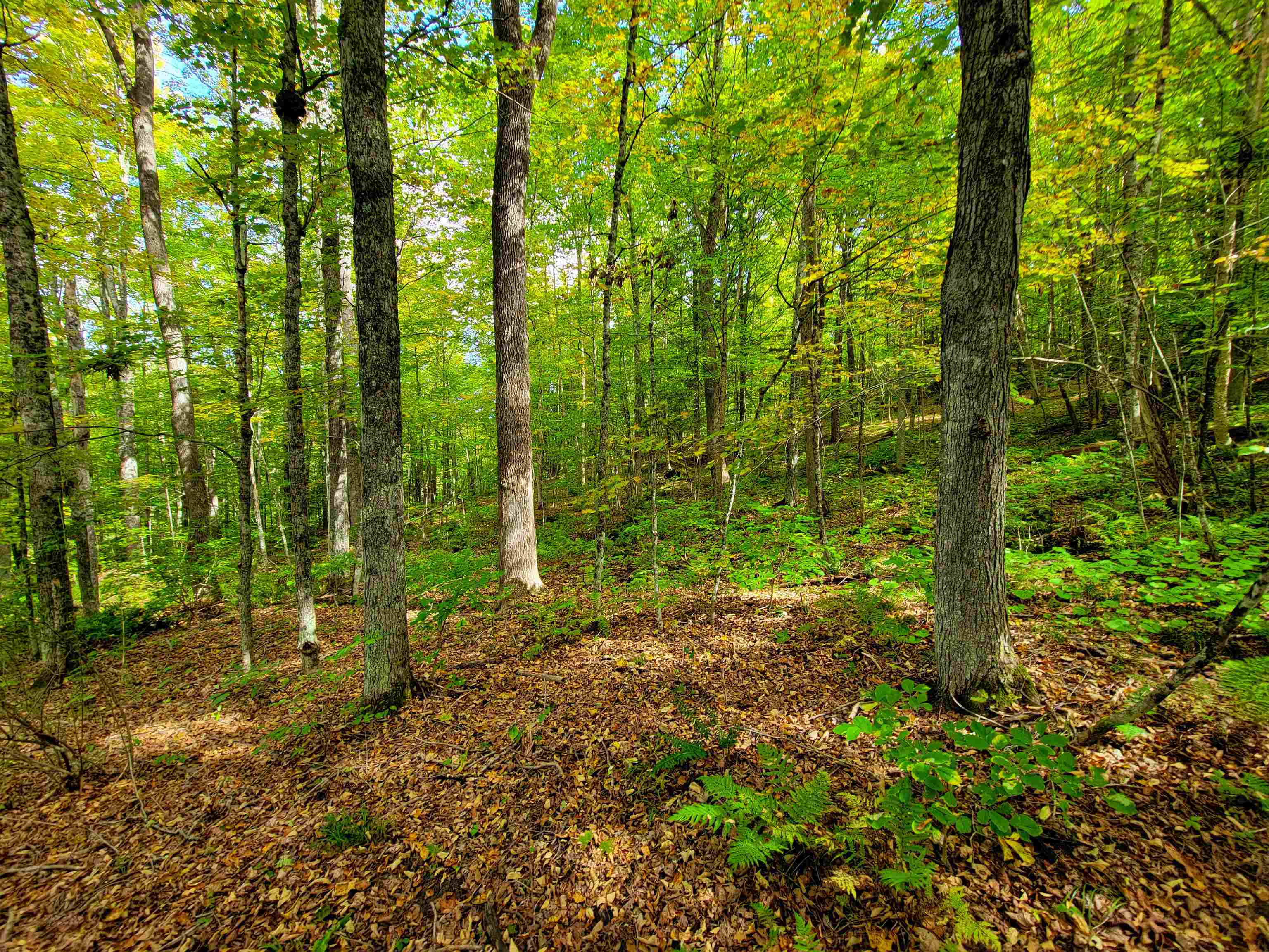 6 Meadowbrook Lane Chelsea, VT 05038 - Photo 42 of 55