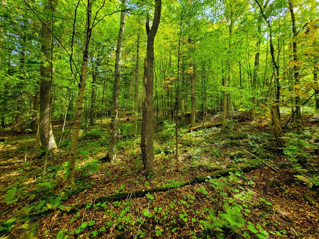 $55,000 | 6 Meadowbrook Lane, Chelsea, VT 05038