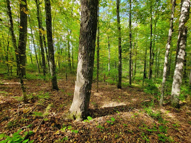 $55,000 | 6 Meadowbrook Lane, Chelsea, VT 05038