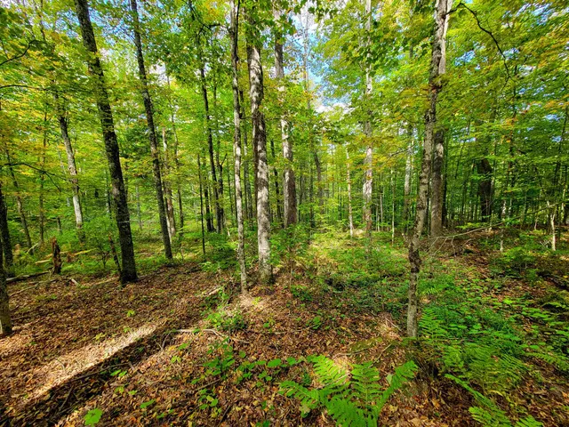 $55,000 | 6 Meadowbrook Lane, Chelsea, VT 05038