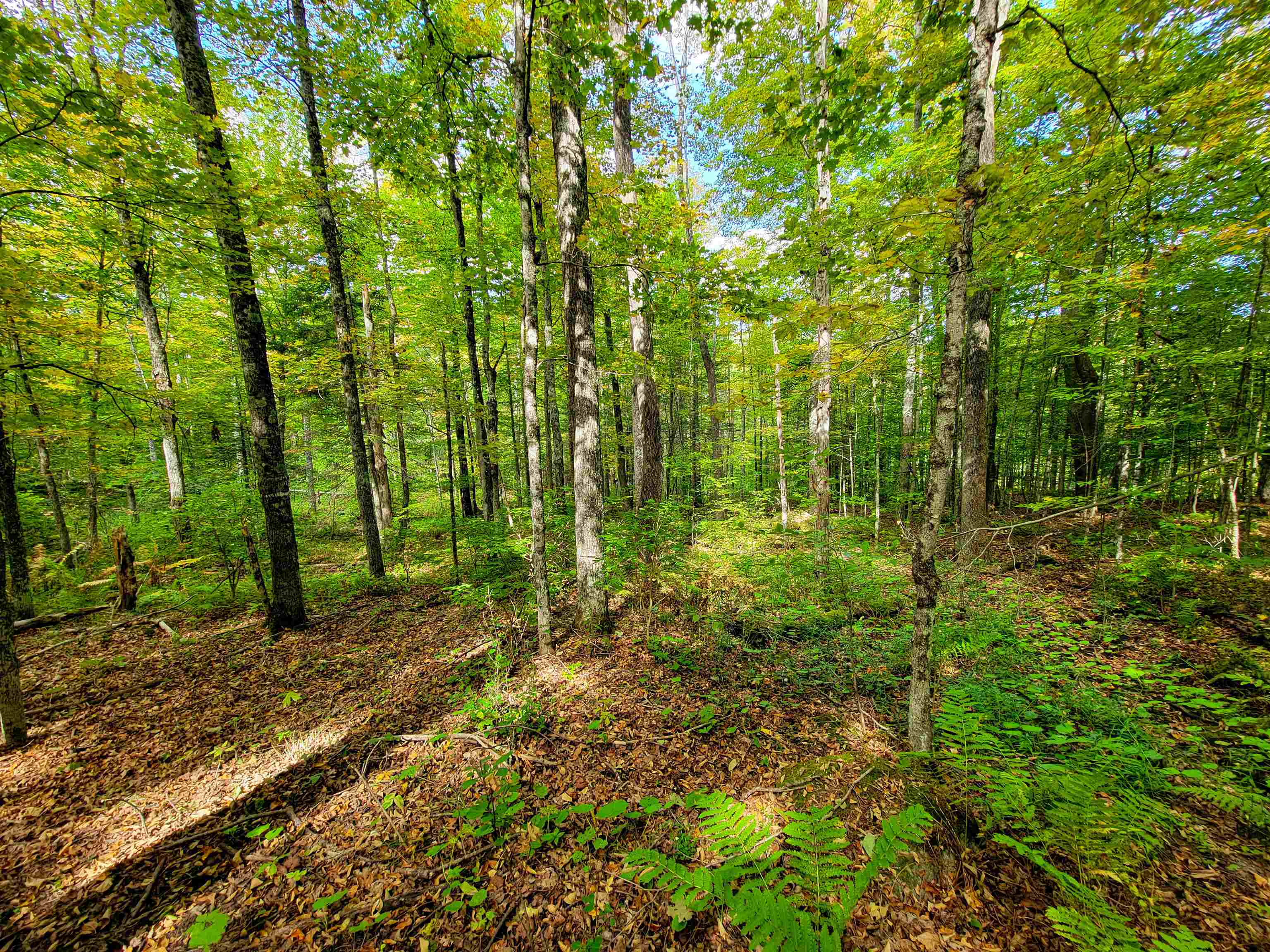 6 Meadowbrook Lane Chelsea, VT 05038 - Photo 45 of 55