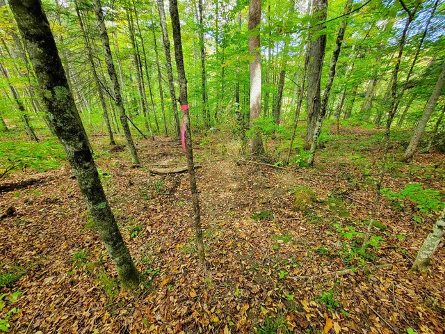 $55,000 | 6 Meadowbrook Lane, Chelsea, VT 05038