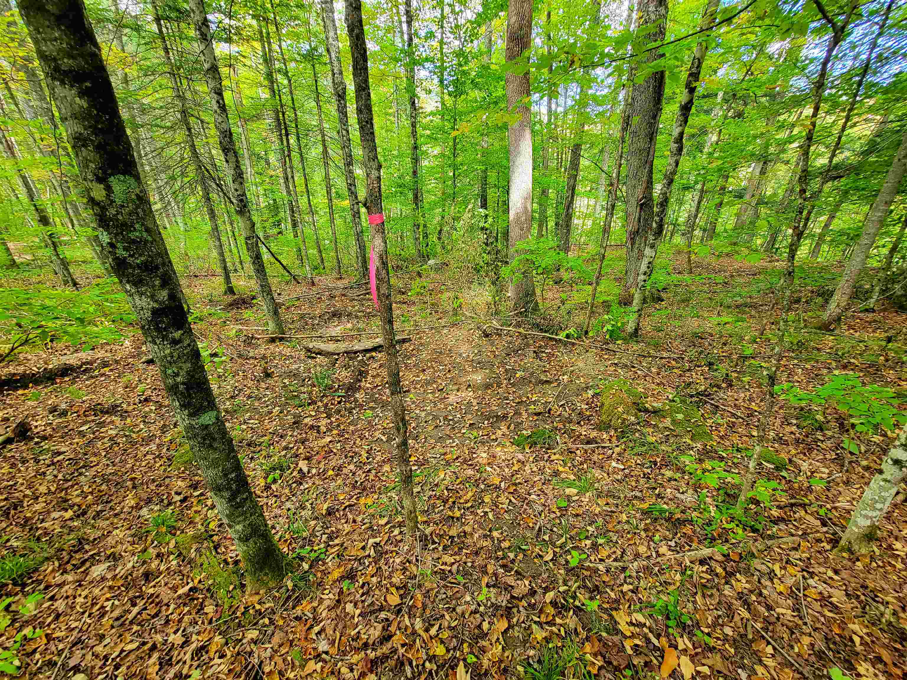 6 Meadowbrook Lane Chelsea, VT 05038 - Photo 46 of 55