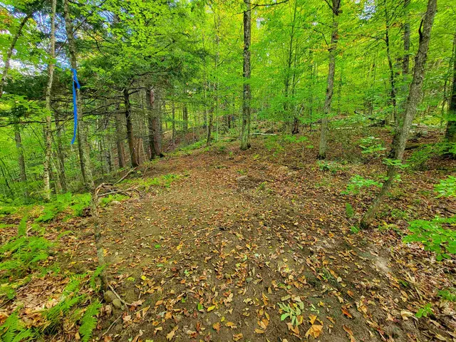 $55,000 | 6 Meadowbrook Lane, Chelsea, VT 05038