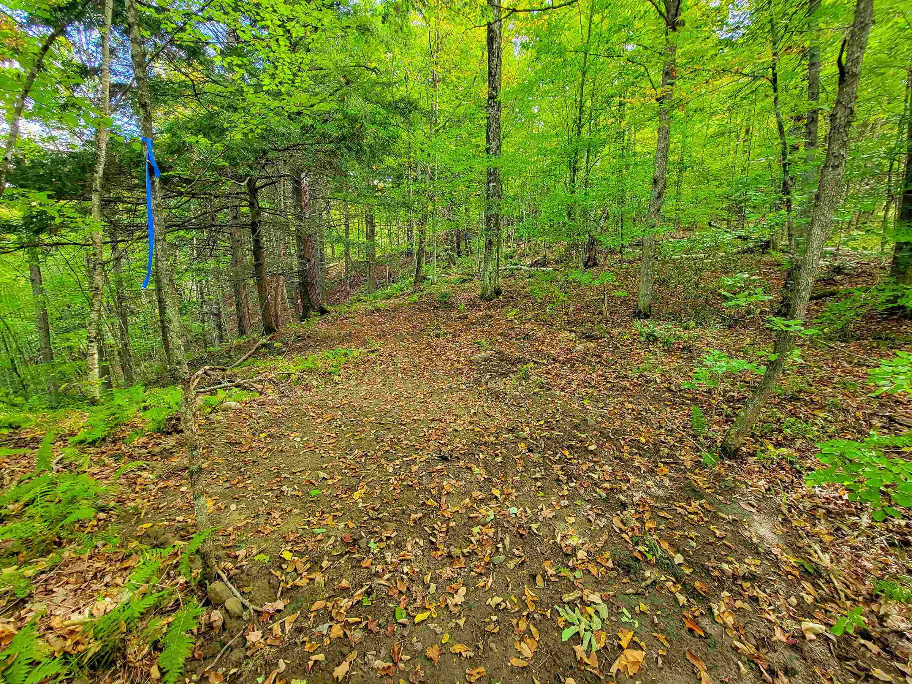 6 Meadowbrook Lane Chelsea, VT 05038 - Photo 47 of 55