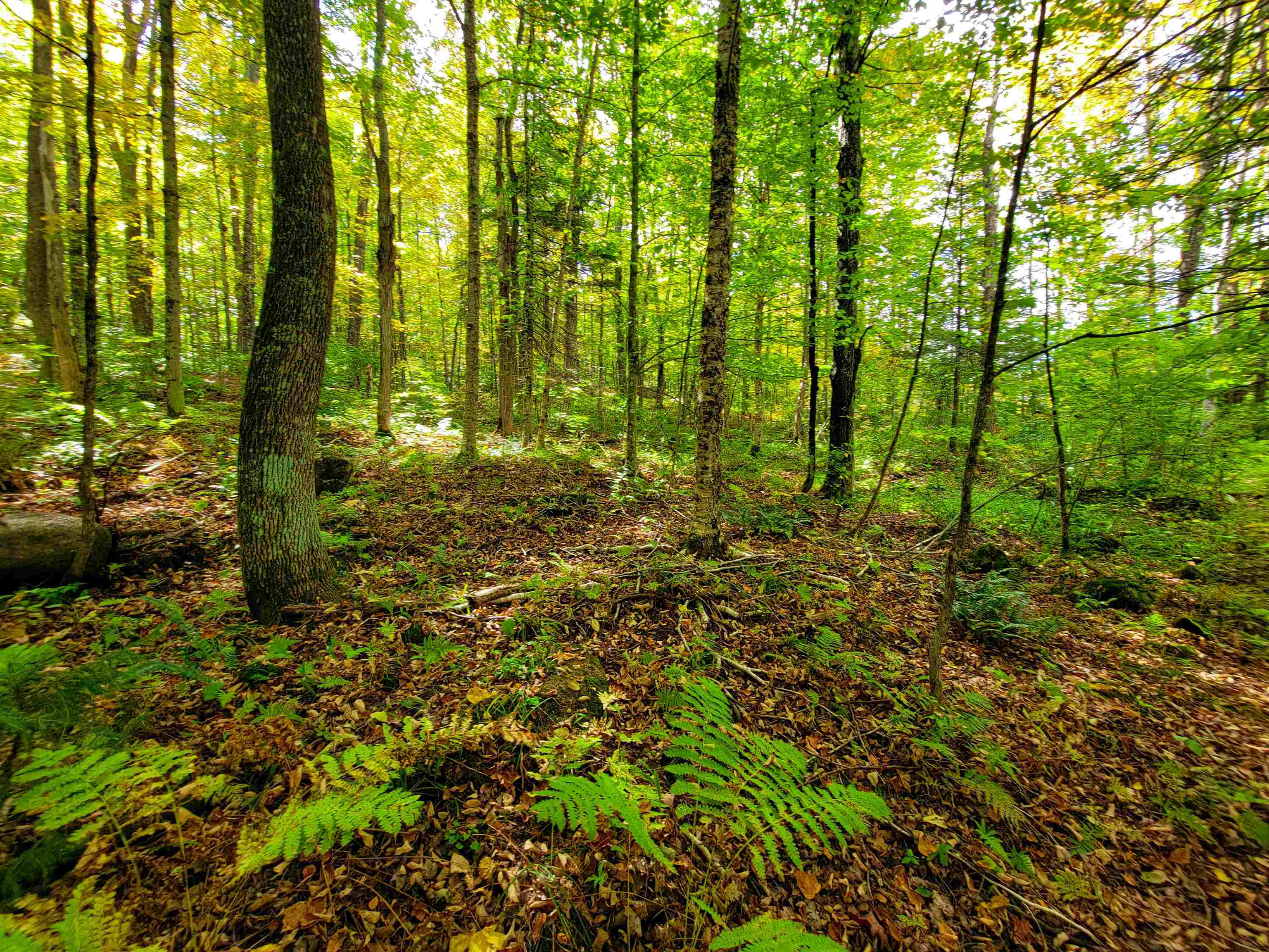 6 Meadowbrook Lane Chelsea, VT 05038 - Photo 48 of 55