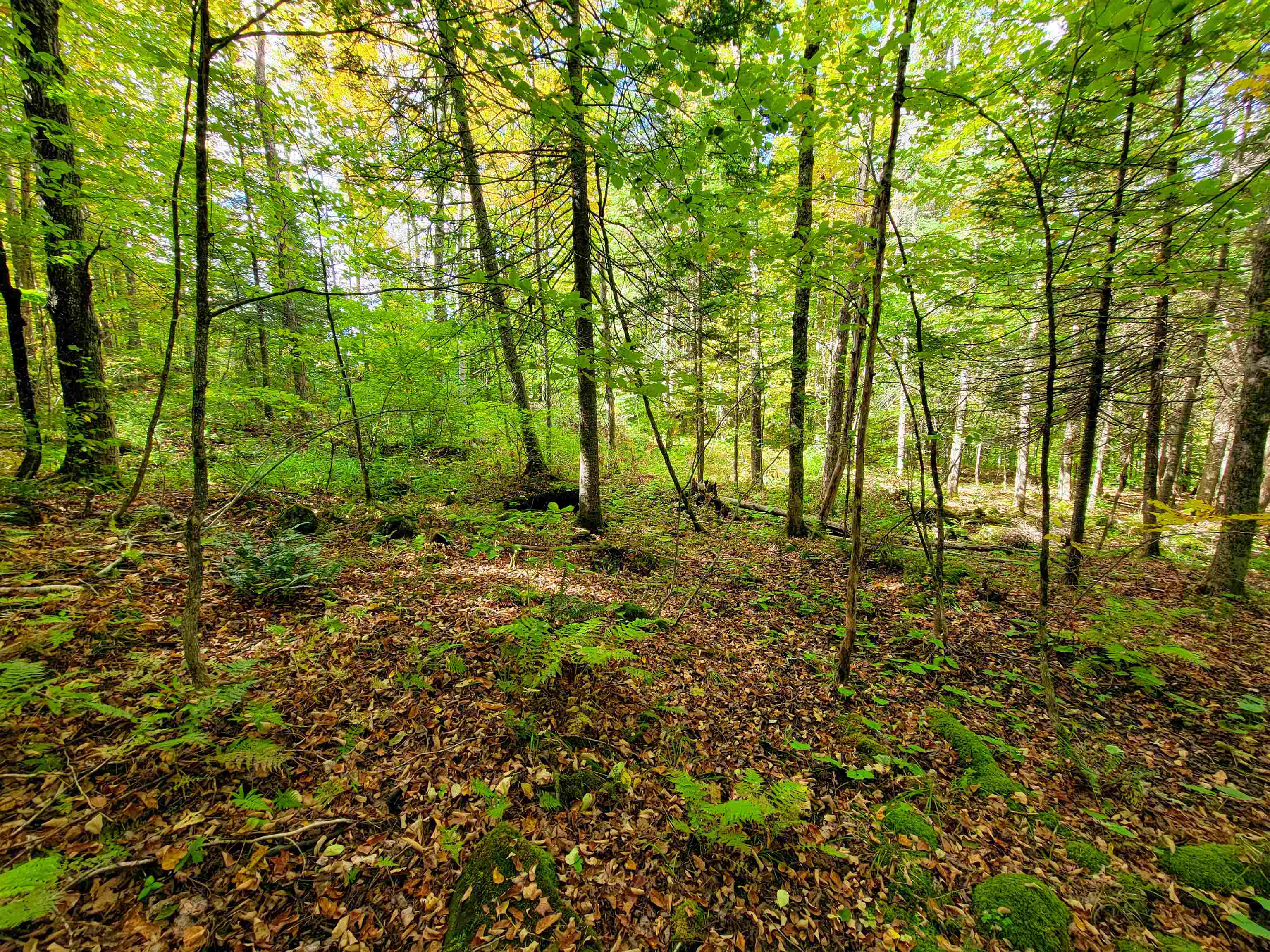 6 Meadowbrook Lane Chelsea, VT 05038 - Photo 49 of 55