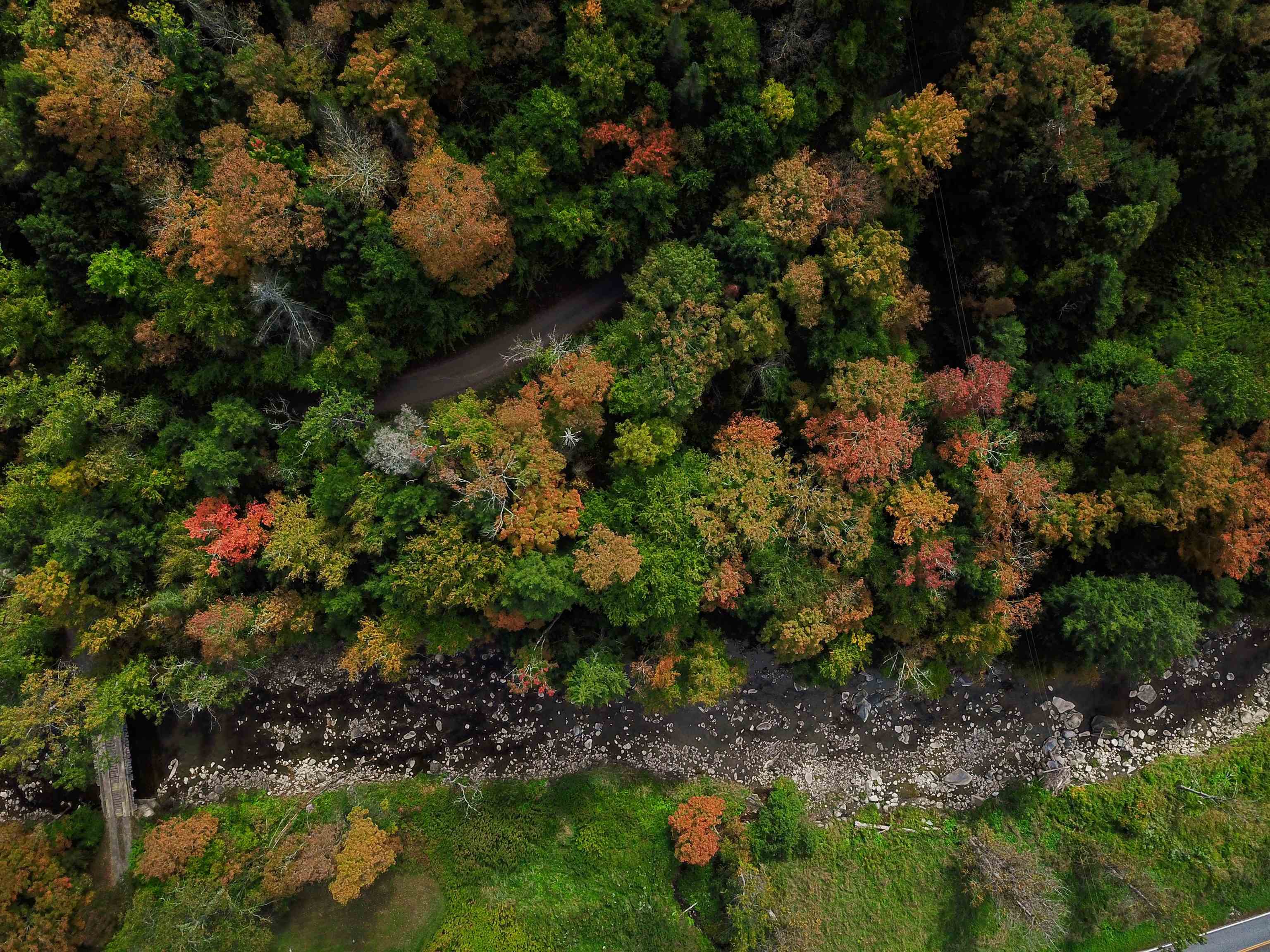 6 Meadowbrook Lane Chelsea, VT 05038 - Photo 5 of 55
