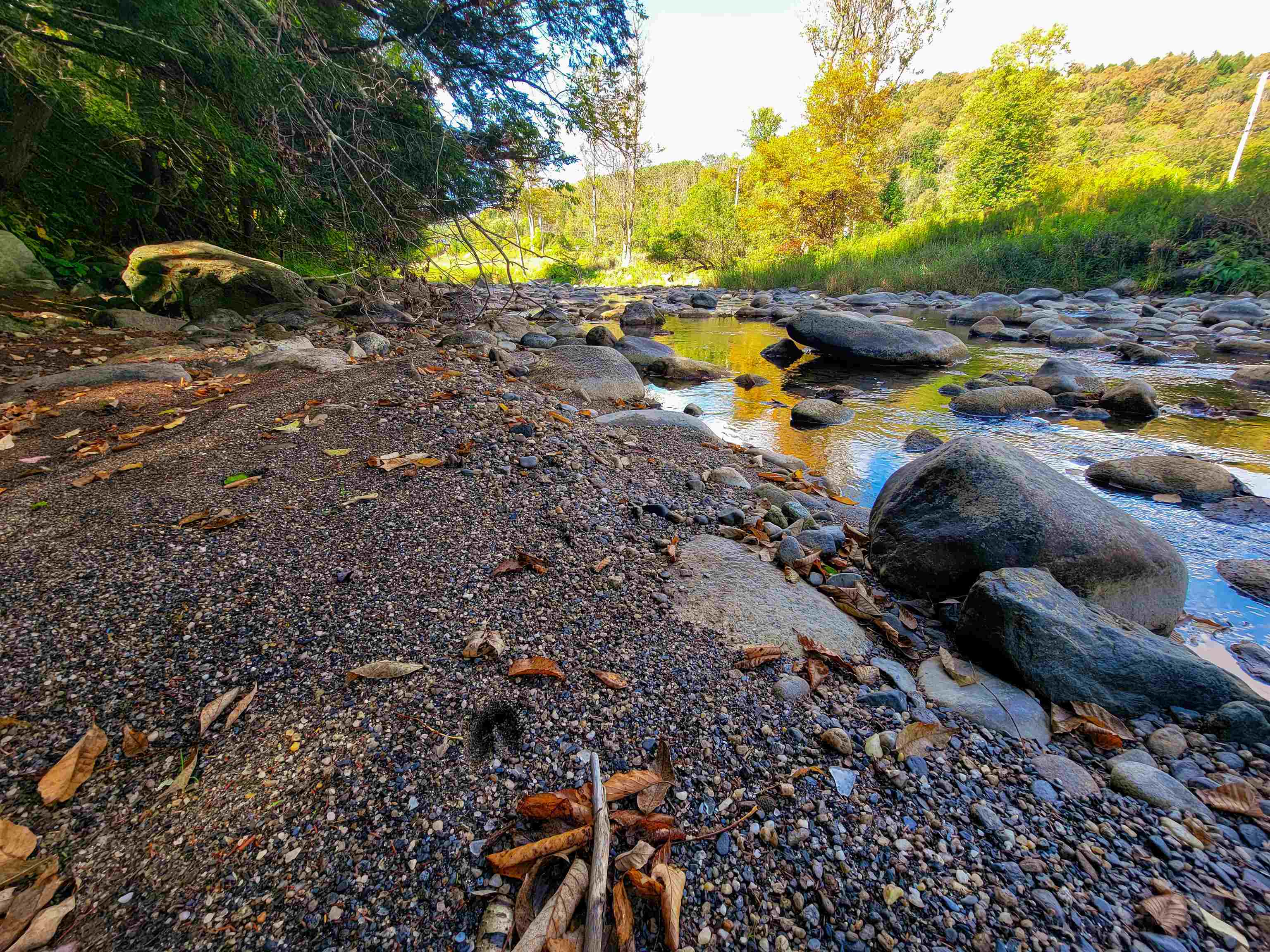 6 Meadowbrook Lane Chelsea, VT 05038 - Photo 10 of 55