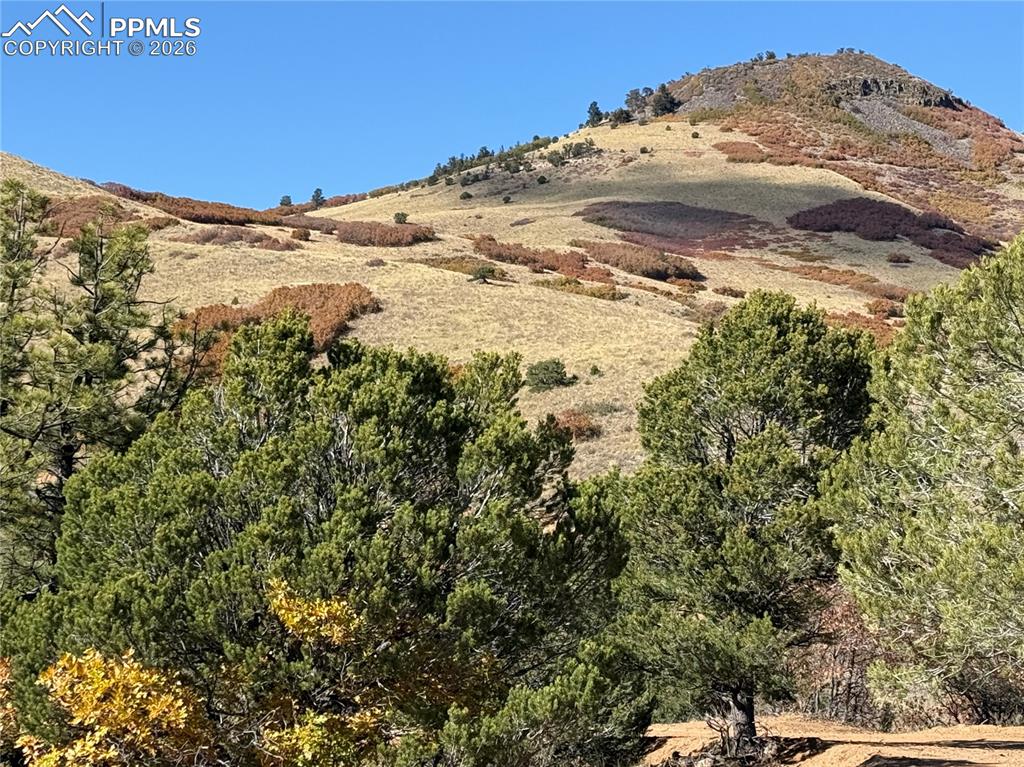 Autumn Creek Road Canon City, CO 81212 - Photo 16 of 20