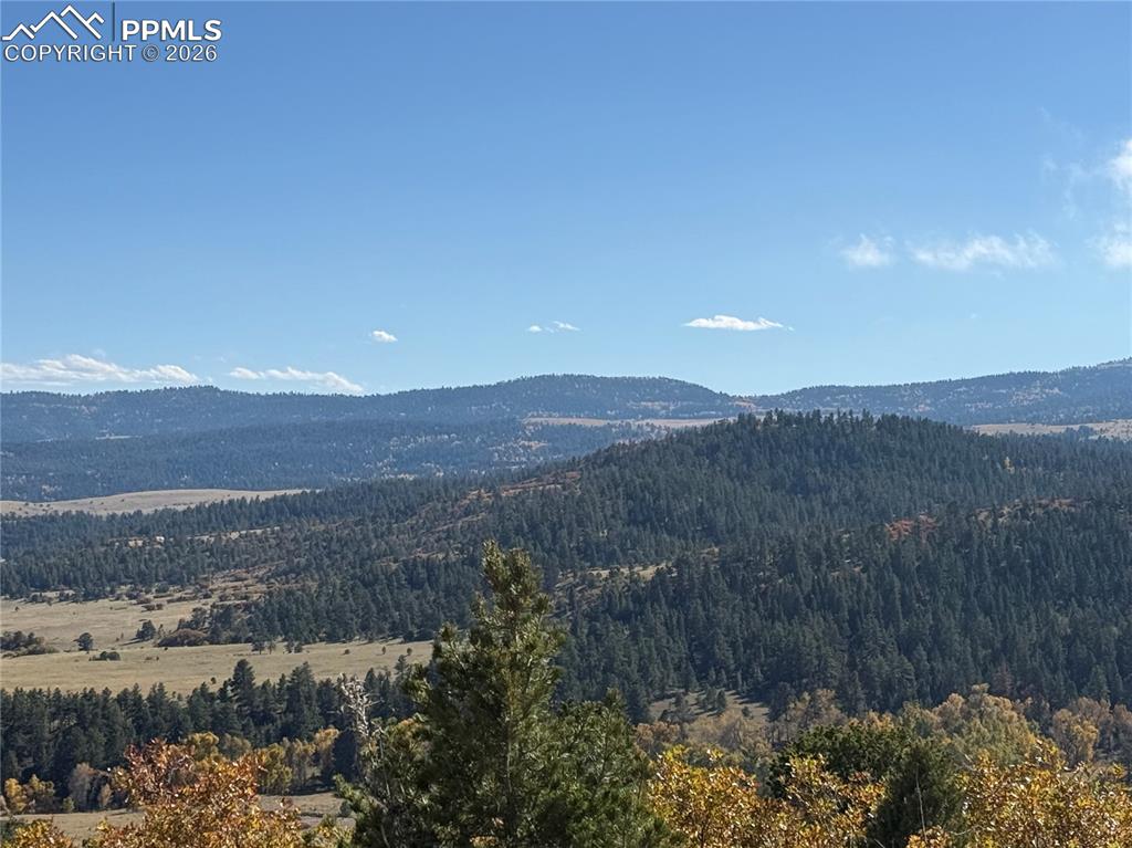 Autumn Creek Road Canon City, CO 81212 - Photo 4 of 20