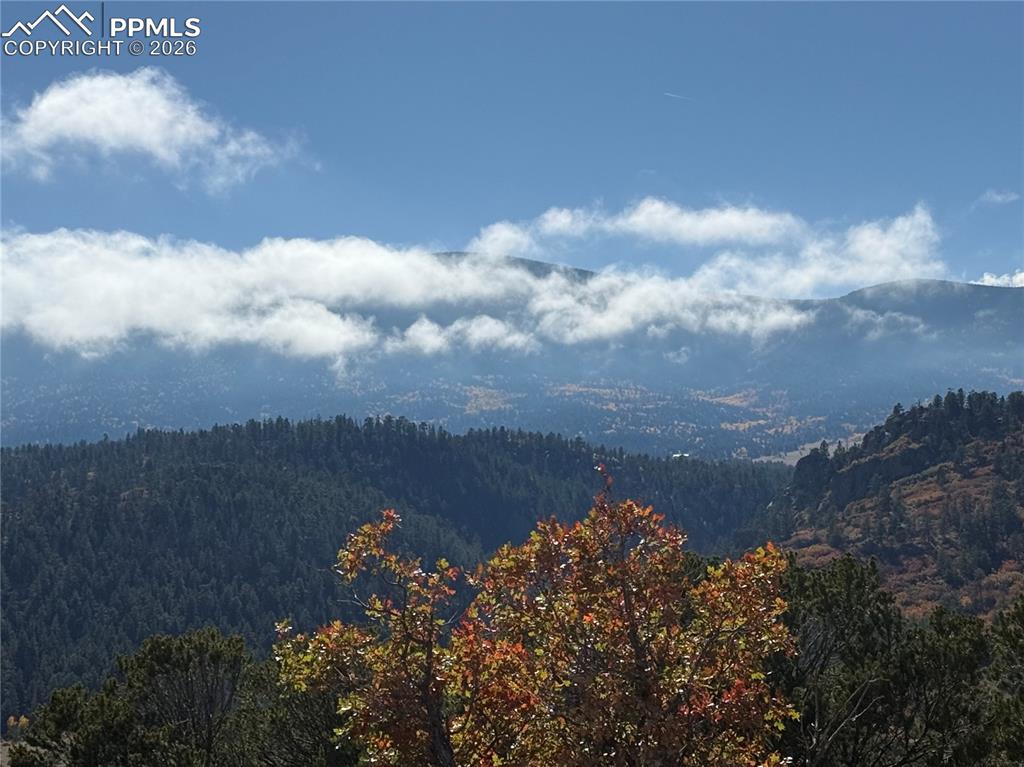 Autumn Creek Road Canon City, CO 81212 - Photo 7 of 20