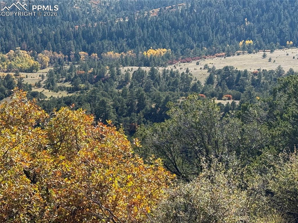 Autumn Creek Road Canon City, CO 81212 - Photo 8 of 20 a view of a yard with a tree