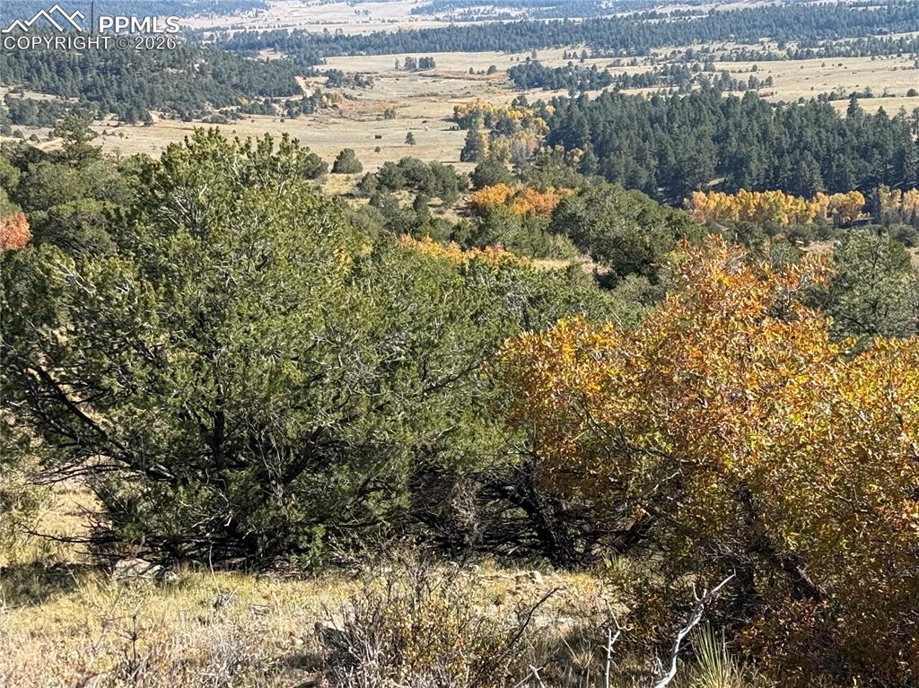 Autumn Creek Road Canon City, CO 81212 - Photo 9 of 20 a view of a yard with wooden fence