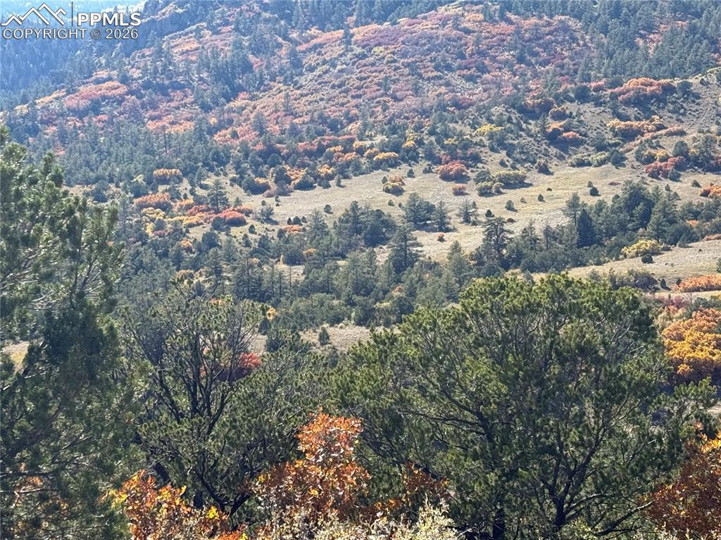 Autumn Creek Road Canon City, CO 81212 - Photo 10 of 20 a view of a city