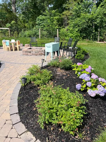 a bunch of flowers are in a garden