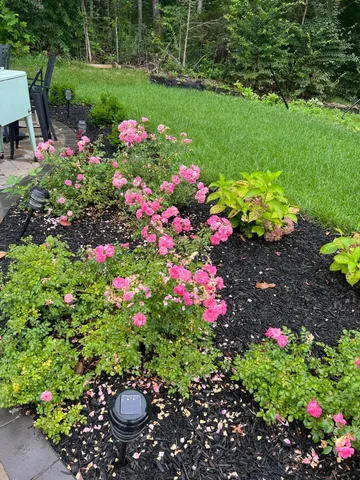 a open kitchen with stainless steel appliances granite countertop a stove a sink and a refrigerator